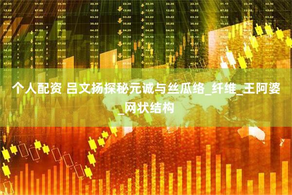 个人配资 吕文扬探秘元诚与丝瓜络_纤维_王阿婆_网状结构